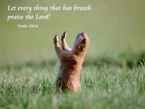 everybreathpraise