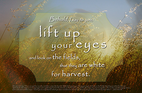 fields are white unto harvest