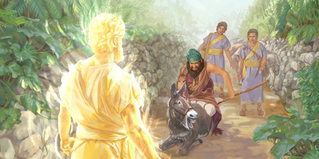 balaam and donkey wp