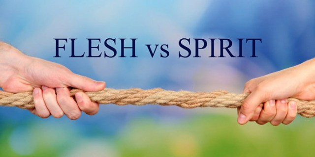 Flesh-vs-spirit