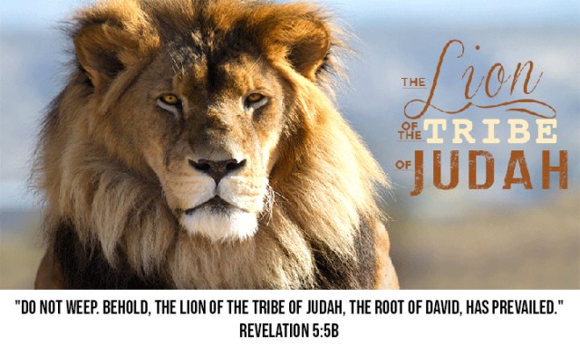 lion of judah rev 5_5