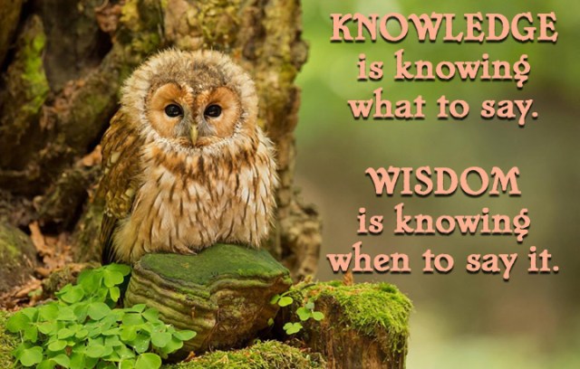 knowledge - wisdom