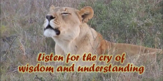 ns listen for the cry of wisdom