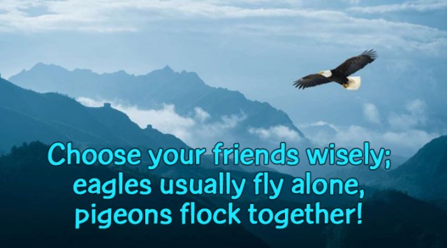 ns choose your friends wisely