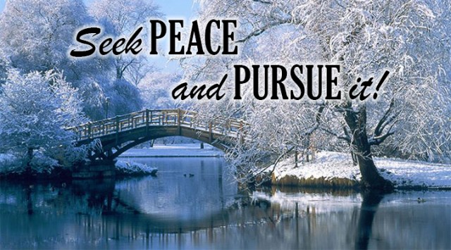 ns seek and pursue peace