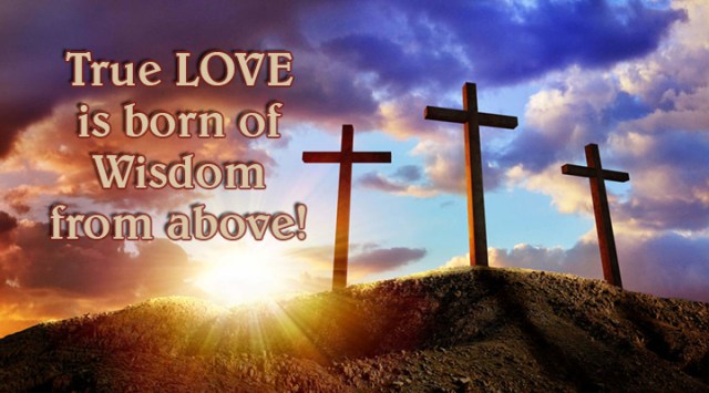 ns true love born of wisdom