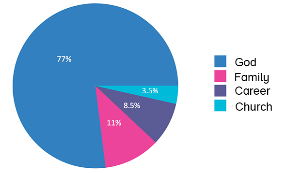 vm pie graph