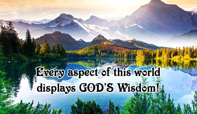 ns 101 God's wisdom displayed