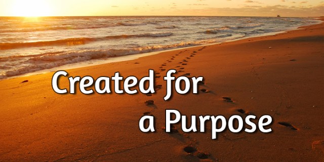pd created for a purpose