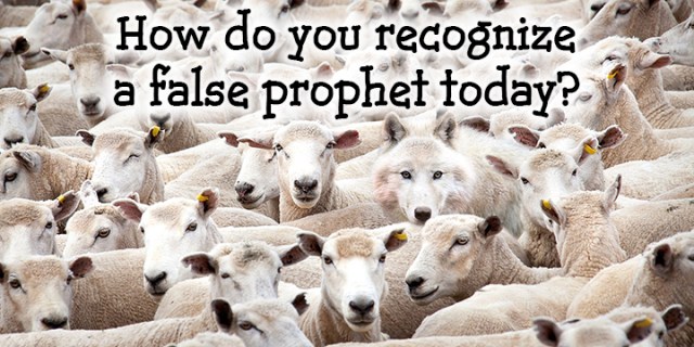 pd false prophet today