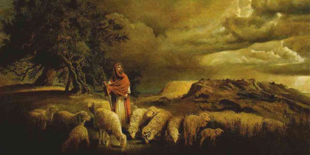 pd shepherd the flock