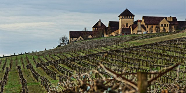 pw lord's vineyard
