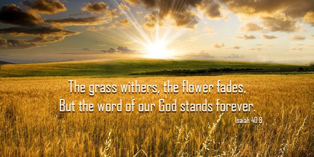 pw God's word forever