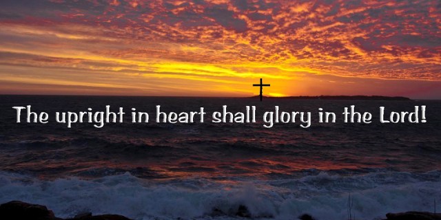 6-6 ns upright in heart