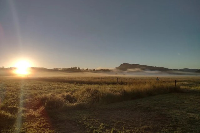 patiently hopeful ps 96_2