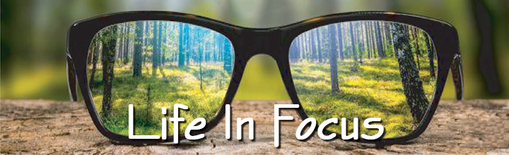 life in focus header