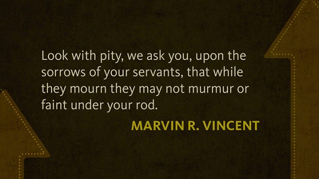 pp 11-6 marvin r. vincent