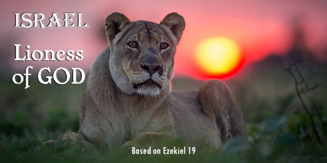 et lioness of Israel