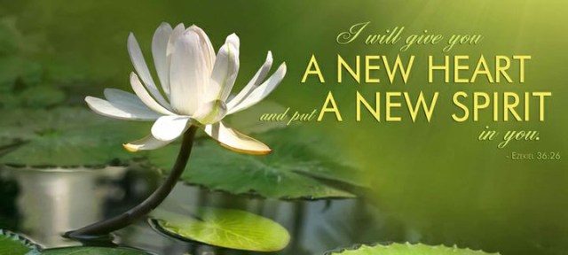 et new heart - spirit