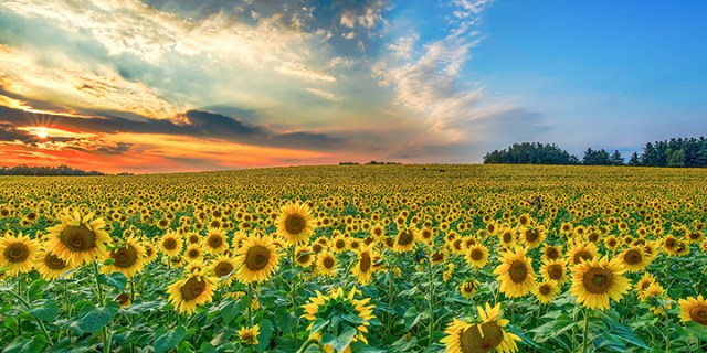 i want to be a blessing - ma